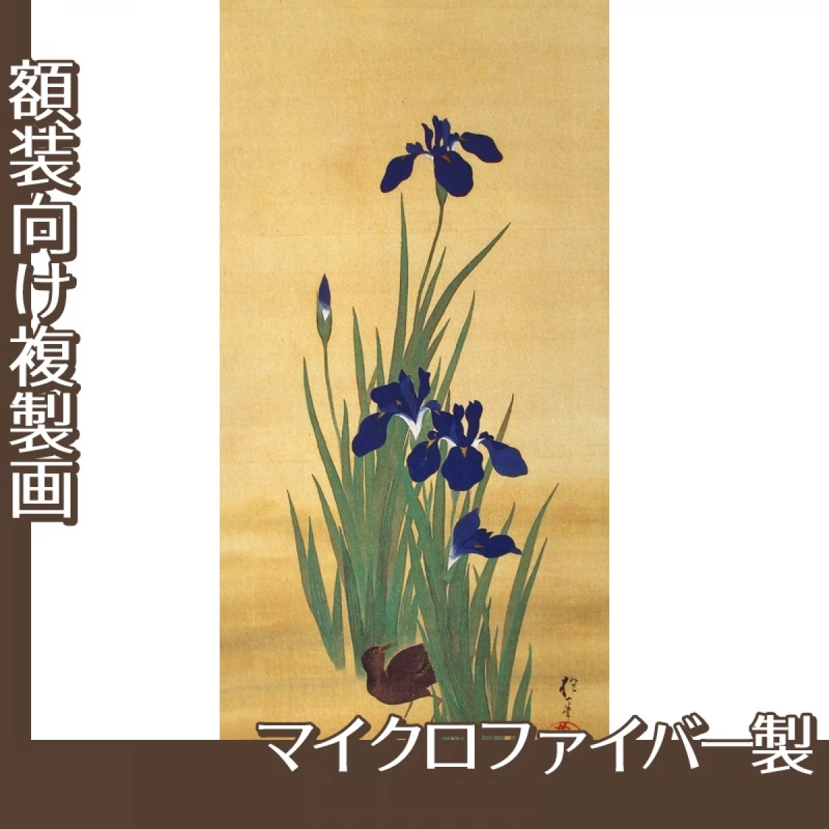 酒井抱一「十二ヶ月花鳥図(五月燕子花に水鶏図)」【複製画:マイクロファイバー】