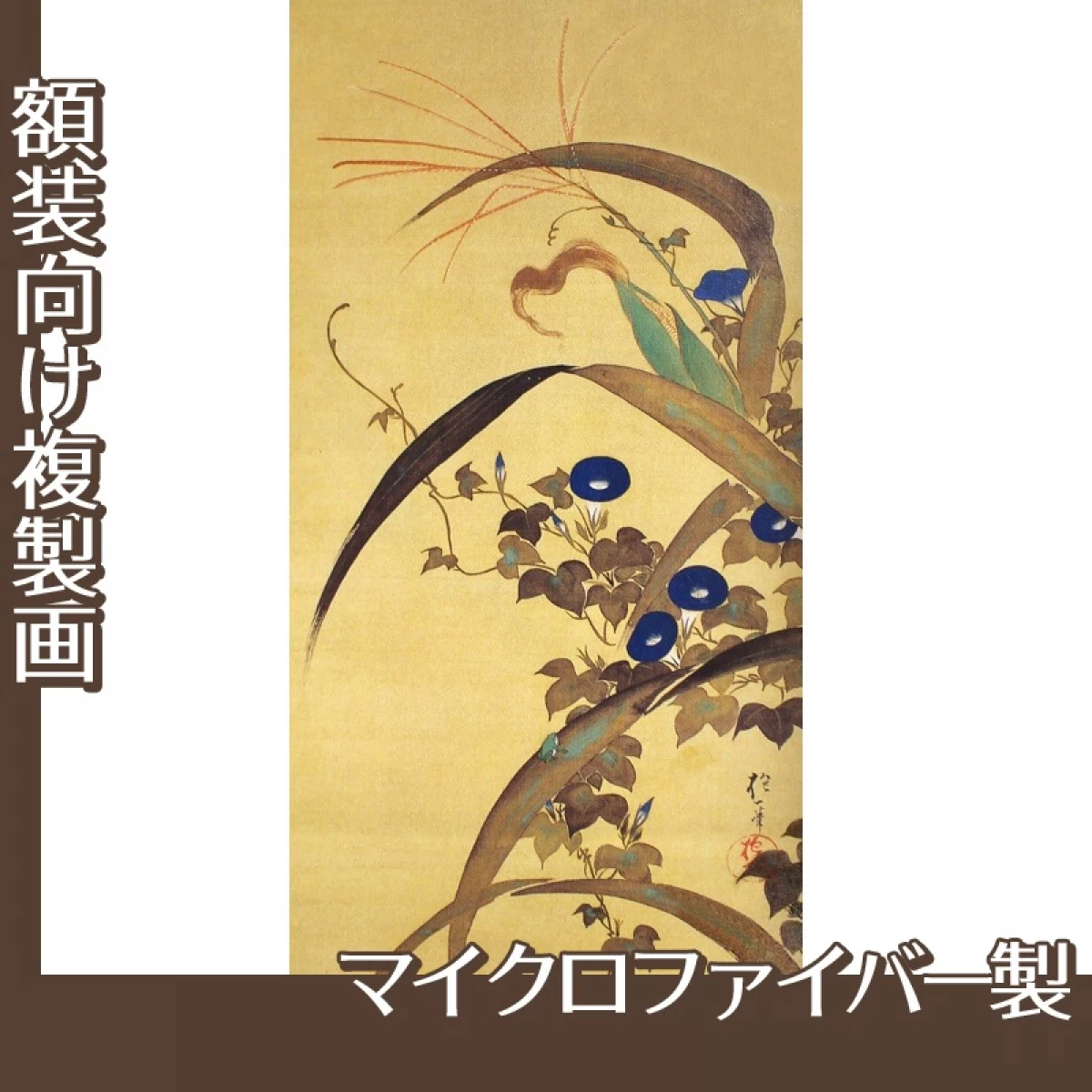 酒井抱一「十二ヶ月花鳥図(七月玉葡蜀黍朝顔に青蛙図)」【複製画:マイクロファイバー】