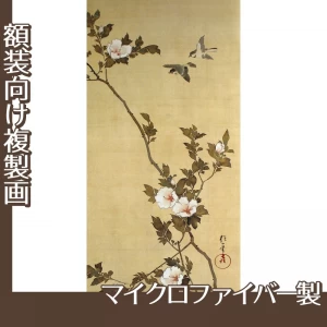 酒井抱一「十二ヶ月花鳥図(七月木槿に頬白)」【複製画:マイクロファイバー】