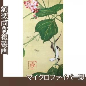 酒井抱一「葛に蜥蜴と蚊図」【複製画:マイクロファイバー】