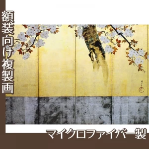 酒井抱一「桜図屏風(右隻)」【複製画:マイクロファイバー】