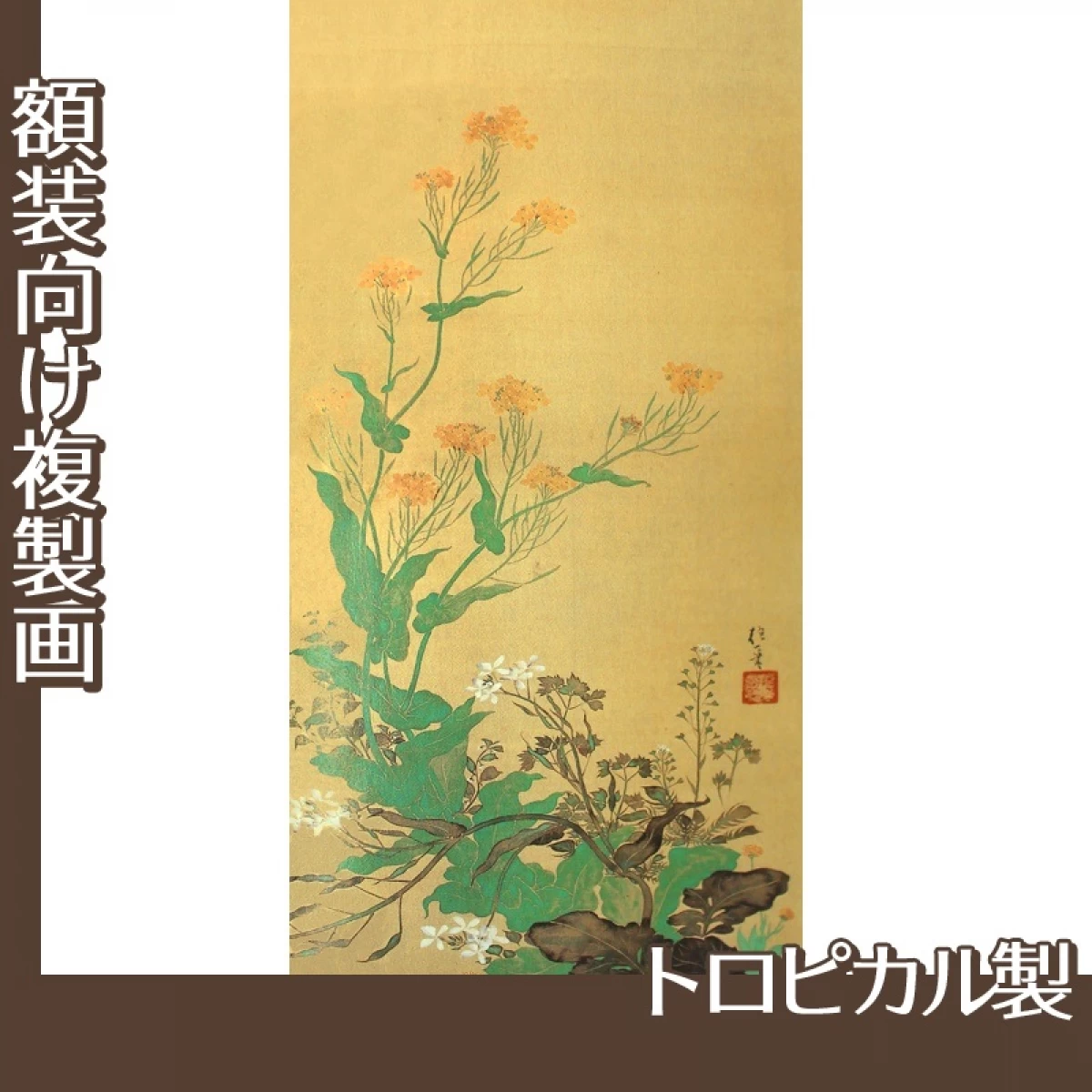 酒井抱一「寿老・春秋七草図(右)」【複製画:トロピカル】