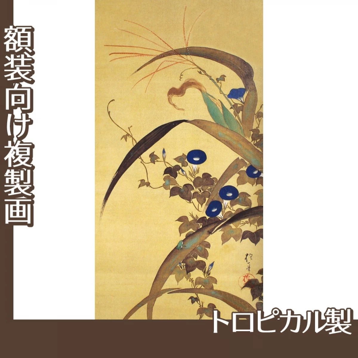 酒井抱一「十二ヶ月花鳥図(七月玉葡蜀黍朝顔に青蛙図)」【複製画:トロピカル】