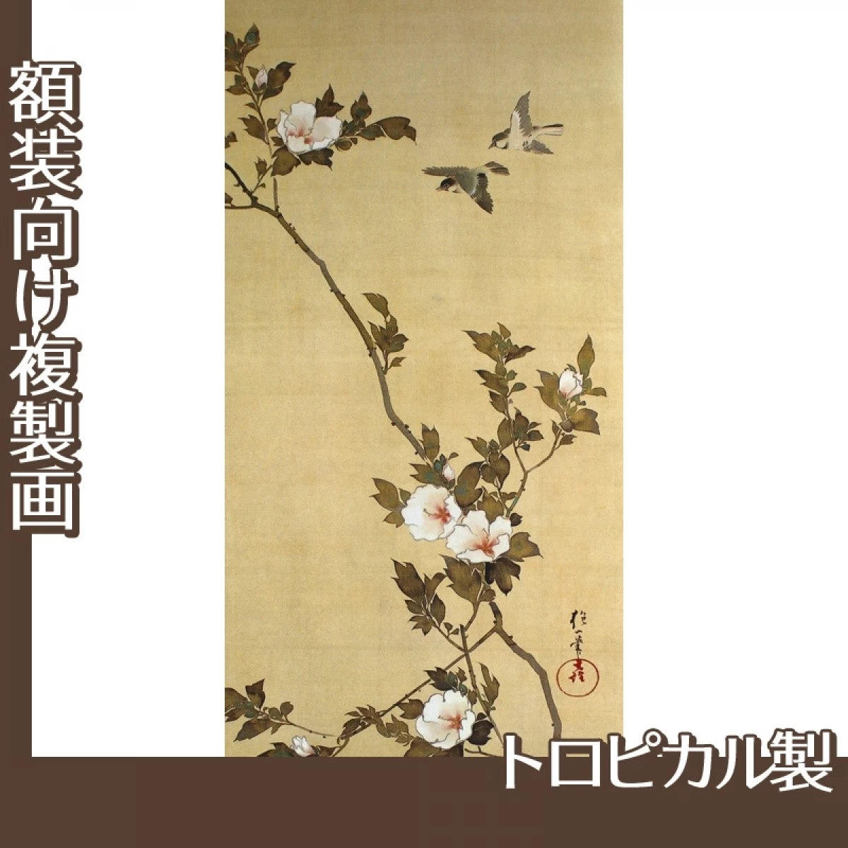 酒井抱一「十二ヶ月花鳥図(七月木槿に頬白)」【複製画:トロピカル】