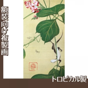 酒井抱一「葛に蜥蜴と蚊図」【複製画:トロピカル】