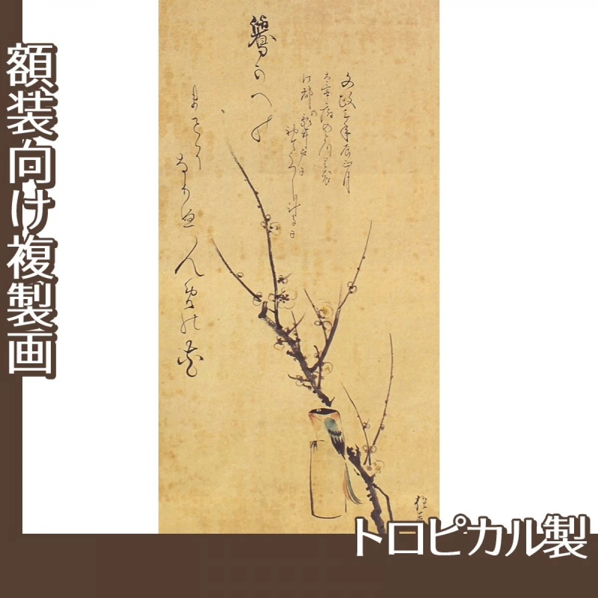 酒井抱一「鷽替画賛」【複製画:トロピカル】