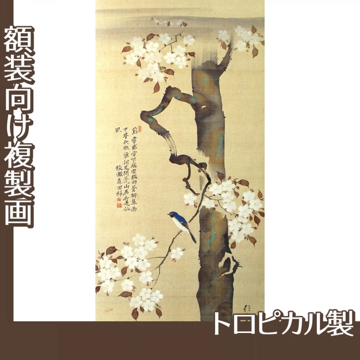 酒井抱一「桜に小禽図」【複製画:トロピカル】