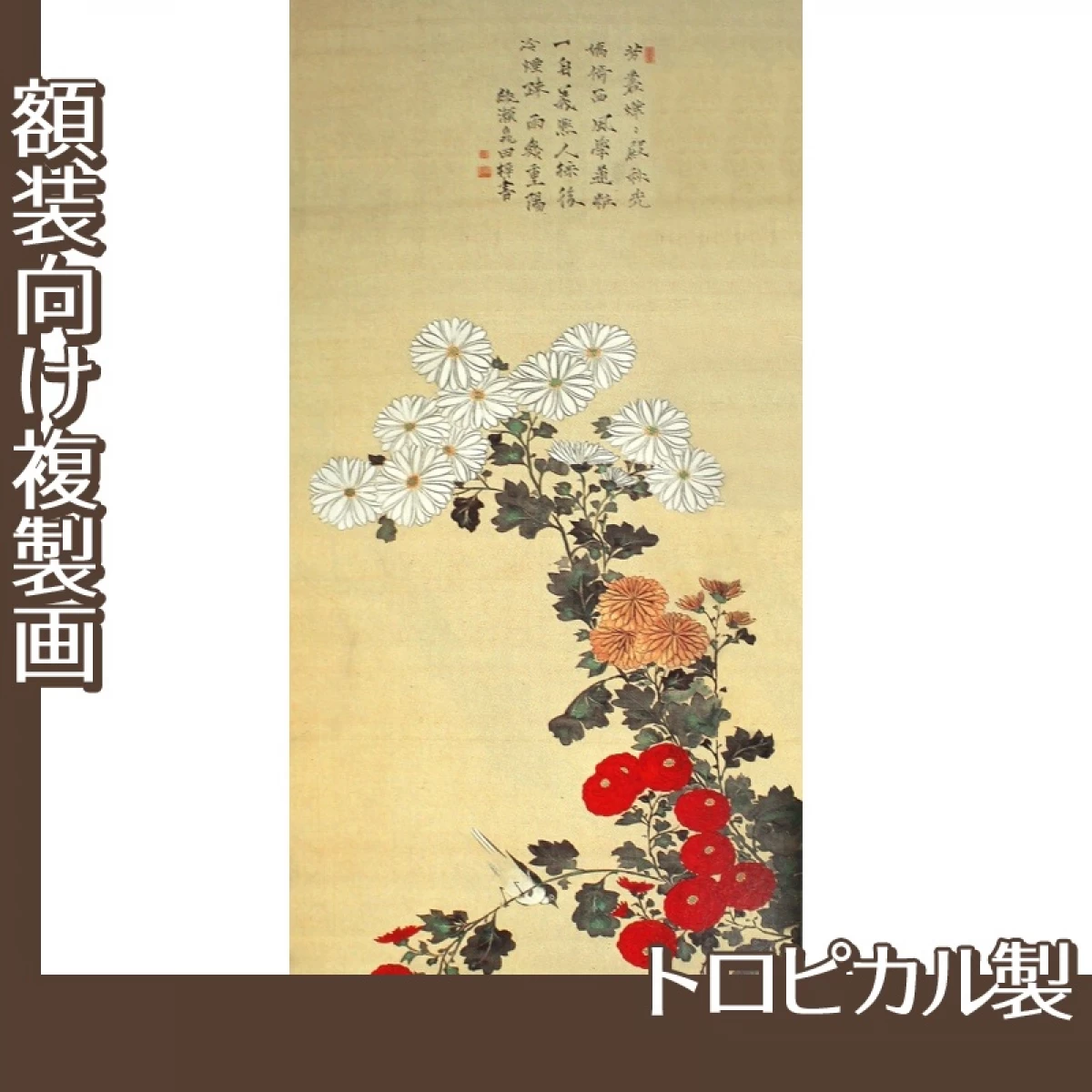 酒井抱一「菊に小禽図」【複製画:トロピカル】