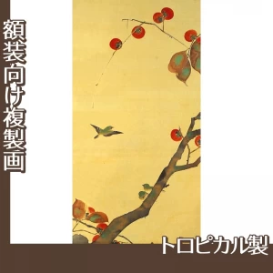 酒井抱一「桜に小禽図・柿に小禽図(左隻)」【複製画:トロピカル】