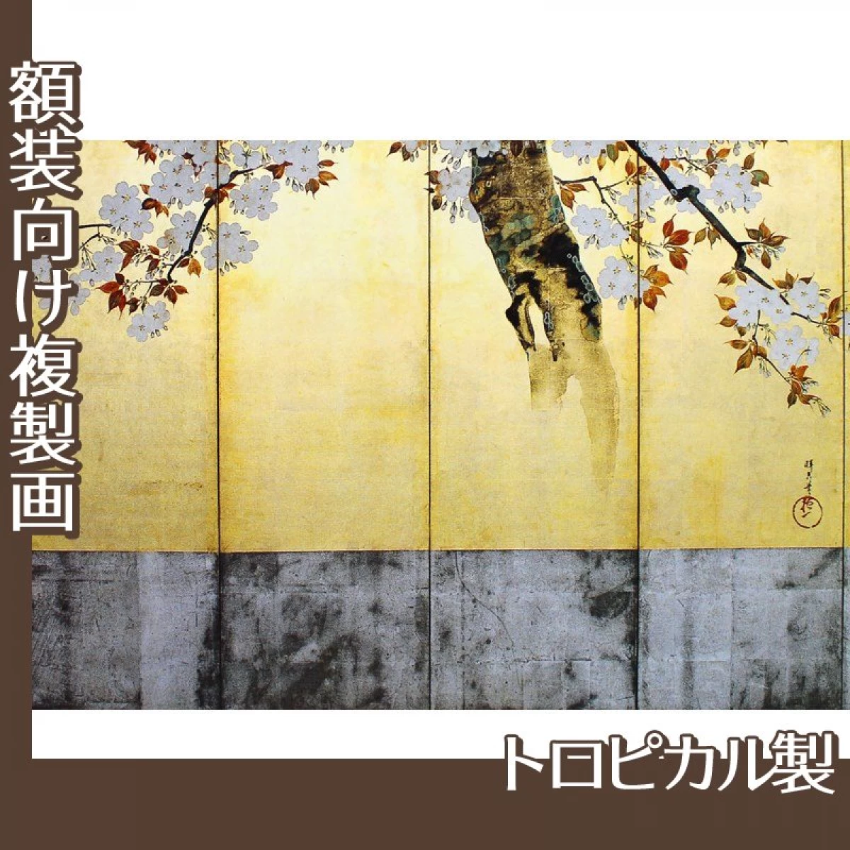 酒井抱一「桜図屏風(右隻)」【複製画:トロピカル】