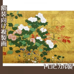 酒井抱一「秋草花卉図」【複製画:トロピカル】