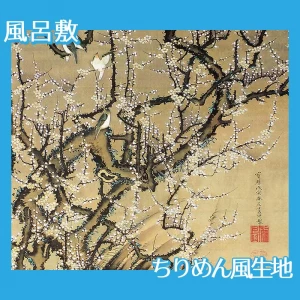 伊藤若冲「梅花小禽図2」【風呂敷】