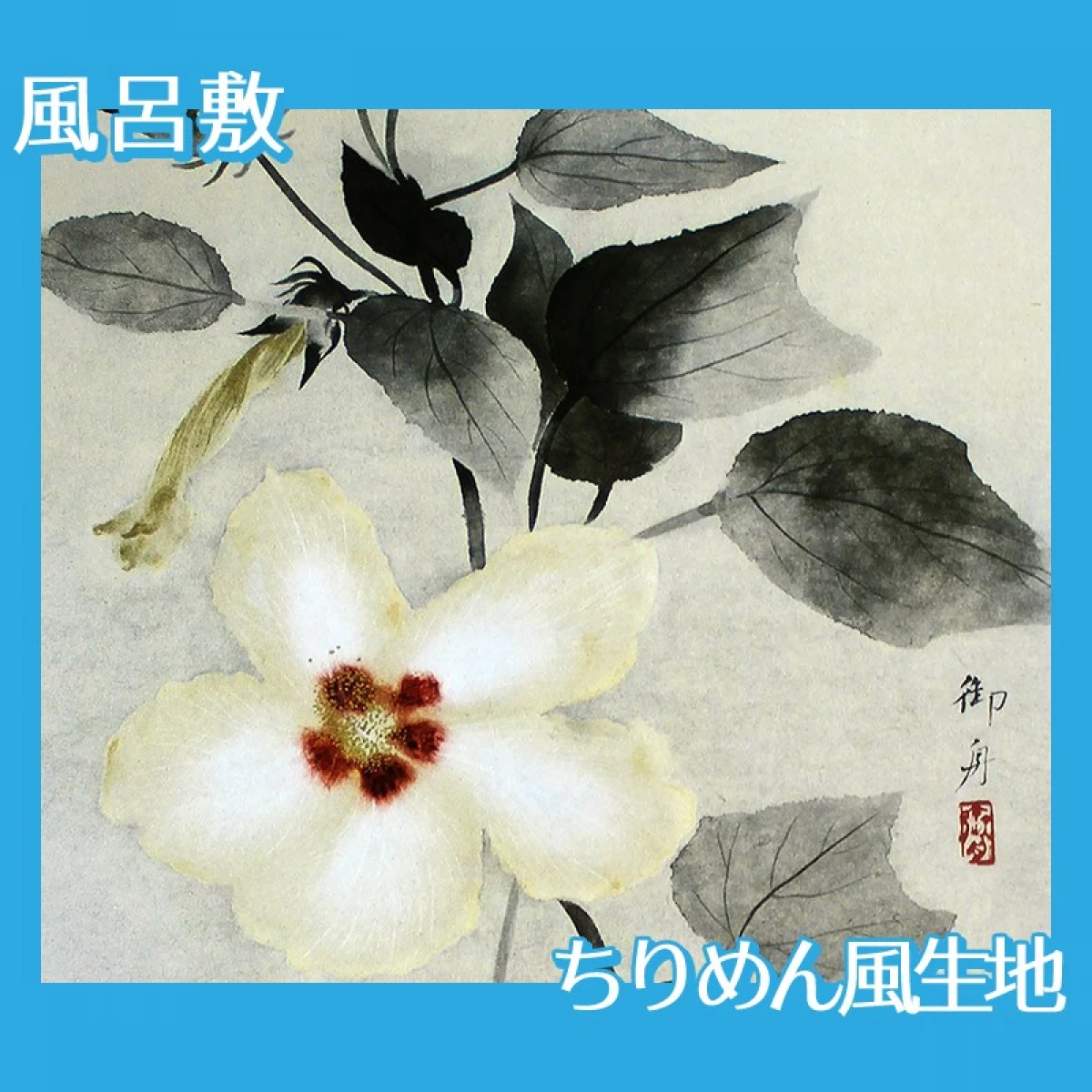 速水御舟「白芙蓉」【風呂敷】