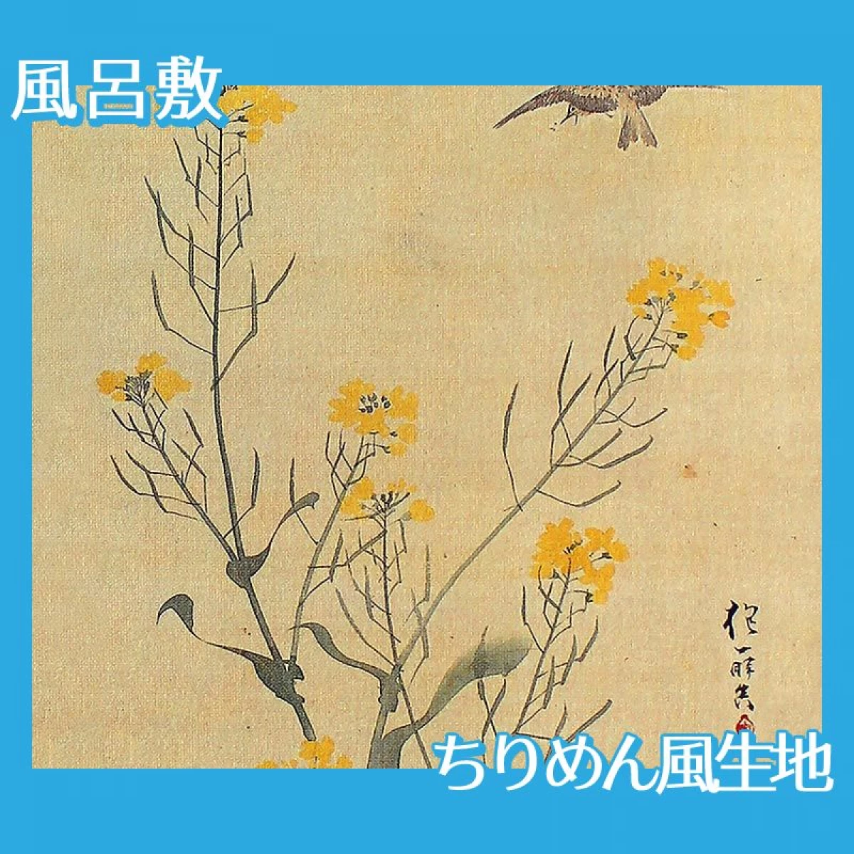 酒井抱一「麦穂菜花図(右隻)」【風呂敷】