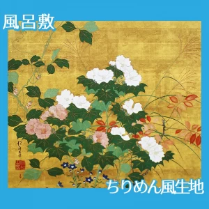 酒井抱一「秋草花卉図」【風呂敷】