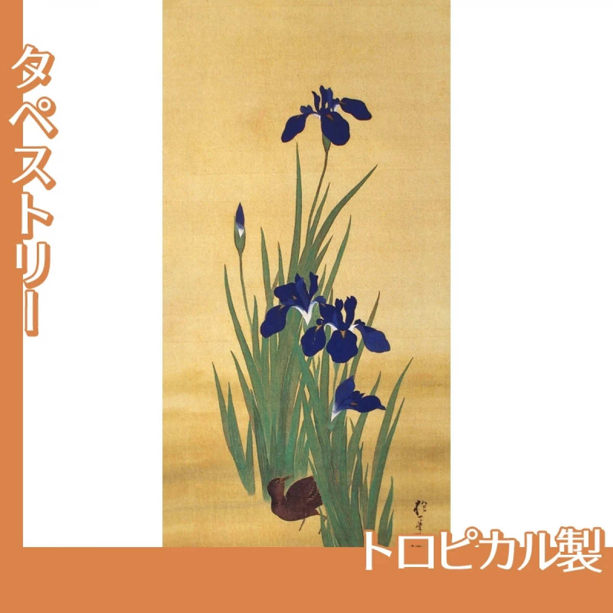 酒井抱一「十二ヶ月花鳥図(五月燕子花に水鶏図)」【タペストリー:トロピカル】