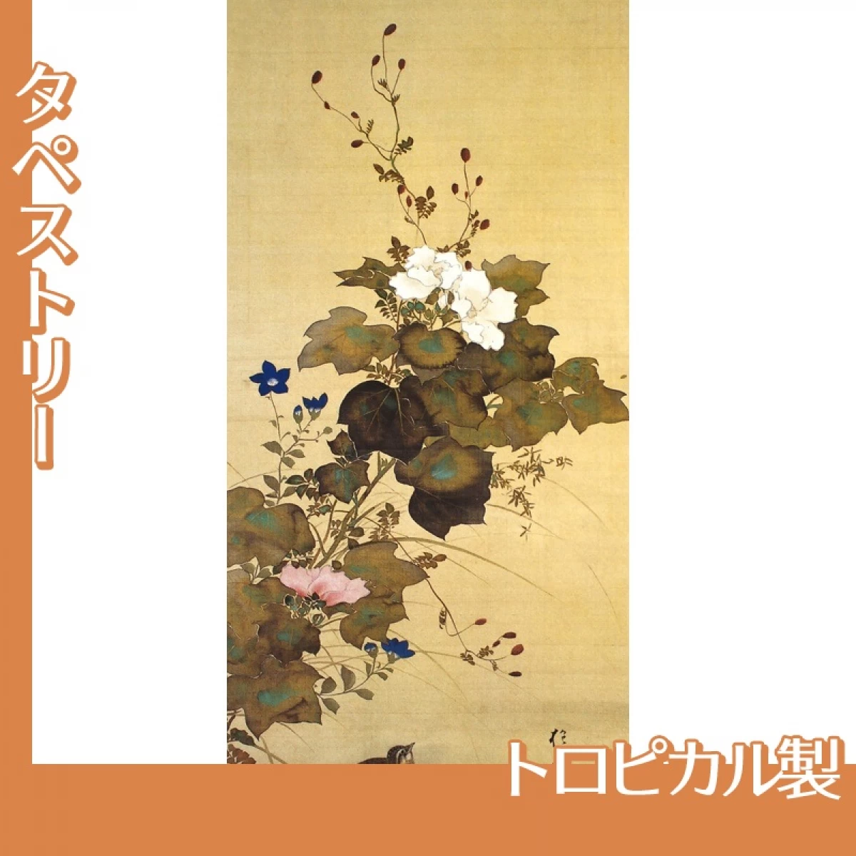 酒井抱一「十二ヶ月花鳥図(八月芙蓉に鶉)」【タペストリー:トロピカル】