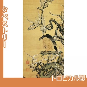 伊藤若冲「梅鷹図」【タペストリー:トロピカル】