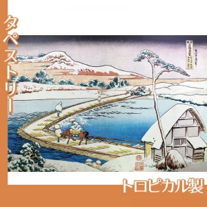 葛飾北斎「諸国名橋奇覧　かうつけ佐野ふなはしの古づ」【タペストリー:トロピカル】