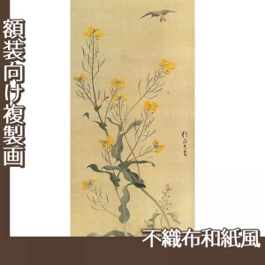 酒井抱一「麦穂菜花図(右隻)」【複製画:不織布和紙風】