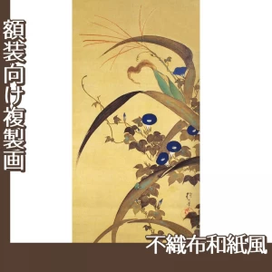 酒井抱一「十二ヶ月花鳥図(七月玉葡蜀黍朝顔に青蛙図)」【複製画:不織布和紙風】