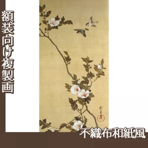 酒井抱一「十二ヶ月花鳥図(七月木槿に頬白)」【複製画:不織布和紙風】