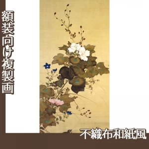 酒井抱一「十二ヶ月花鳥図(八月芙蓉に鶉)」【複製画:不織布和紙風】