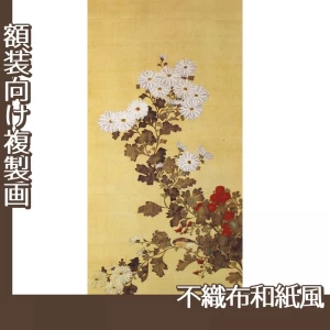 酒井抱一「十二ヶ月花鳥図(九月菊に小禽図)」【複製画:不織布和紙風】