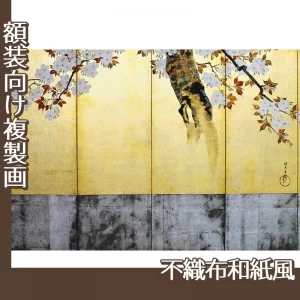 酒井抱一「桜図屏風(右隻)」【複製画:不織布和紙風】