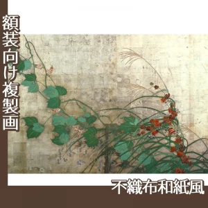 酒井抱一「夏秋草図屏風(左隻)」【複製画:不織布和紙風】