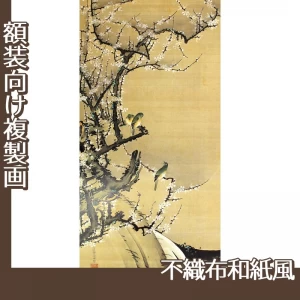 伊藤若冲「梅花小禽図1」【複製画:不織布和紙風】