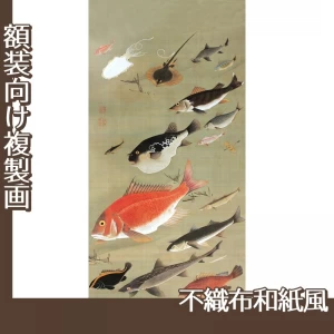 伊藤若冲「群魚図」【複製画:不織布和紙風】