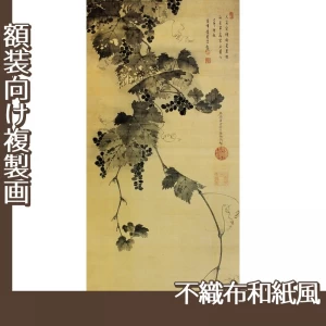 伊藤若冲「葡萄図」【複製画:不織布和紙風】